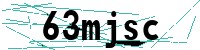Security verification captcha