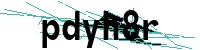 Security verification captcha