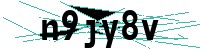 Security verification captcha