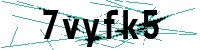 Security verification captcha