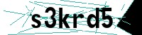 Security verification captcha