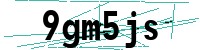Security verification captcha