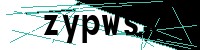 Security verification captcha