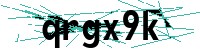 Security verification captcha
