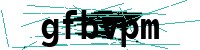 Security verification captcha