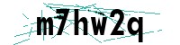 Security verification captcha