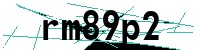 Security verification captcha