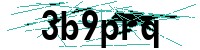 Security verification captcha