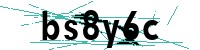 Security verification captcha