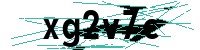 Security verification captcha