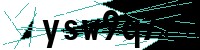 Security verification captcha