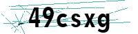 Security verification captcha