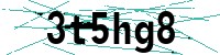 Security verification captcha