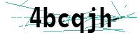 Security verification captcha