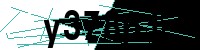 Security verification captcha