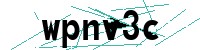 Security verification captcha