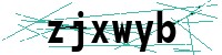 Security verification captcha