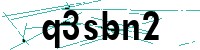 Security verification captcha