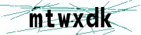 Security verification captcha
