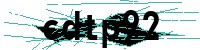 Security verification captcha