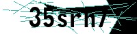 Security verification captcha