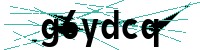 Security verification captcha