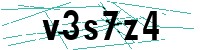 Security verification captcha