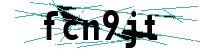 Security verification captcha