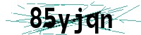 Security verification captcha