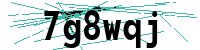 Security verification captcha