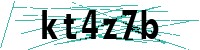 Security verification captcha