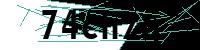 Security verification captcha