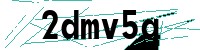 Security verification captcha