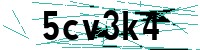Security verification captcha