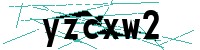 Security verification captcha
