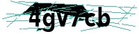 Security verification captcha