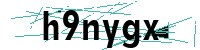 Security verification captcha