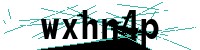Security verification captcha