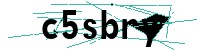 Security verification captcha