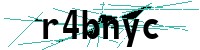 Security verification captcha
