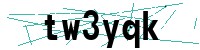 Security verification captcha