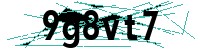 Security verification captcha