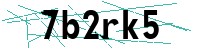 Security verification captcha