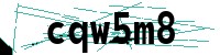 Security verification captcha