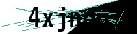 Security verification captcha