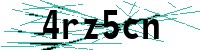 Security verification captcha