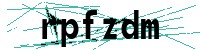 Security verification captcha
