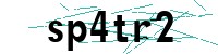 Security verification captcha