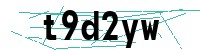 Security verification captcha