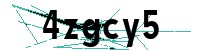Security verification captcha